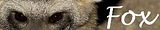 batearedfoxbanner.jpg image by qidditchpixie
